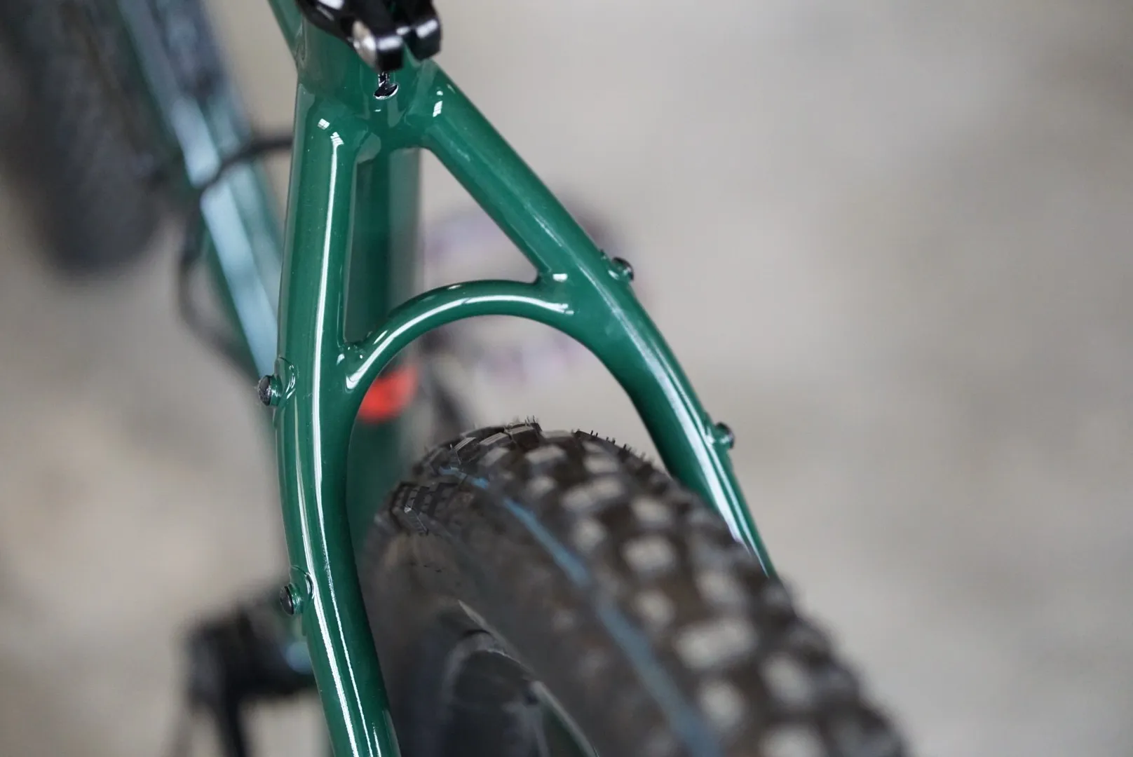 Carro posteriore e passaggio copertone — Romanelli Cicli Rock step, Pietro Trail