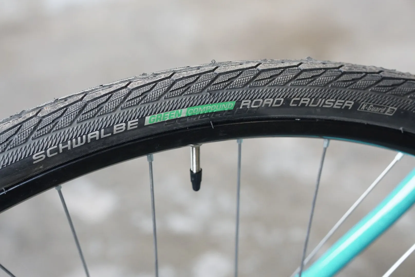 Copertone posteriore Schwalbe Road Cruiser — Romanelli Cicli Cargo Evolve
