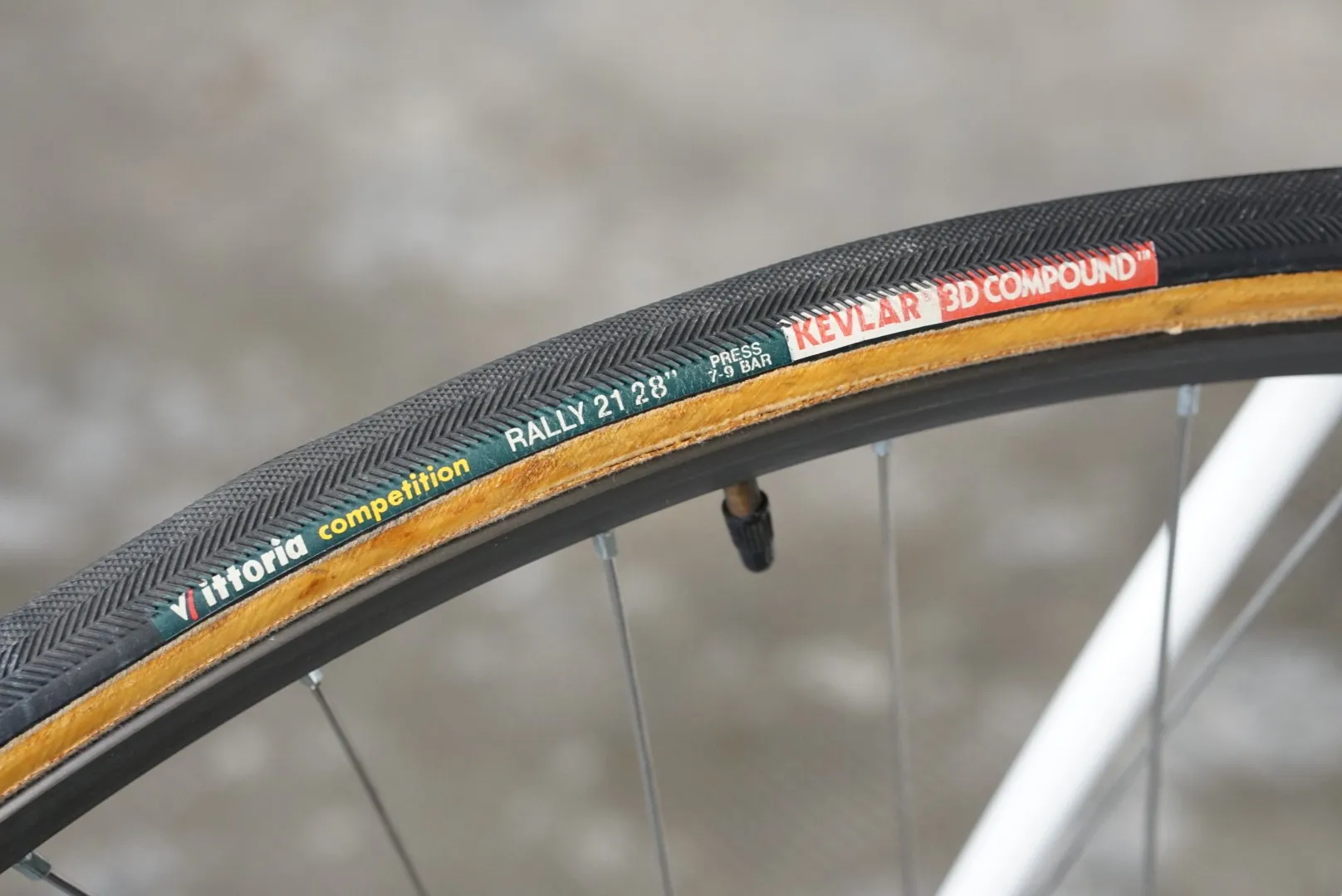 Copertone Vittoria e ruota posteriore — Romanelli Cicli Nose’ n’ toes Pursuit